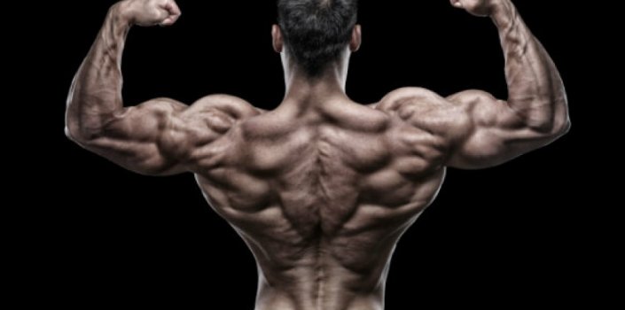 Упражнения для широчайших мышц спины
