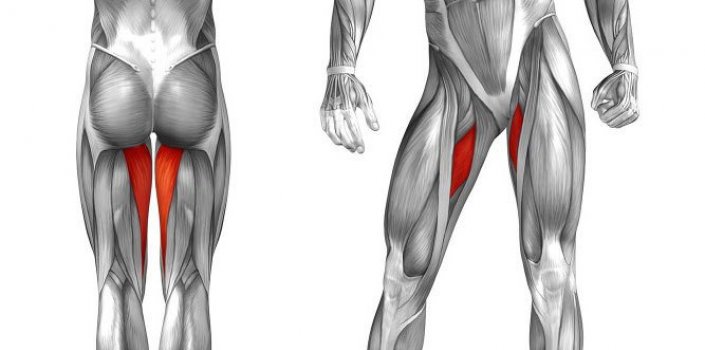 Как накачать внутренние мышцы ног