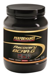 Recovery BCAA-G (500 гр)