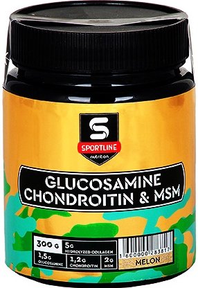 Glucosamine & Chondroitin & MSM Powder (300 гр)