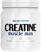 Creatine Muscle Max (500 гр)