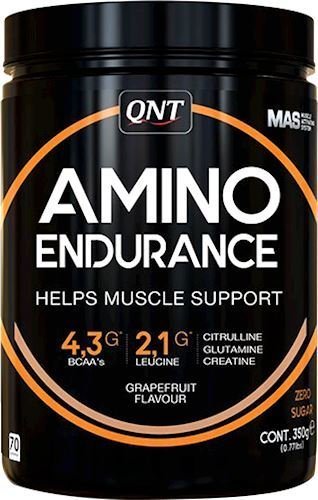 Amino Endurance (350 гр)