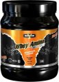 Whey Amino Tabs 2000 (300 таб)