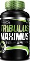 Tribulus Maximus 1500 mg (90 таб)