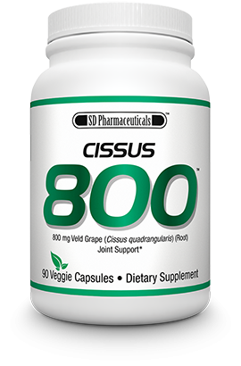 Cissus 800 (90 капс)